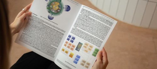 Infografías académicas/científicas